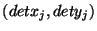 $(detx_j,dety_j)$