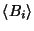 $\langle B_i \rangle$