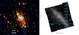 XMM-Newton Regards the Starburst-AGN Galaxy NGC 4945